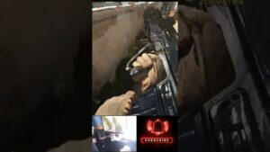 Call of Duty│Highlights│Mouse and keyboard│#shorts