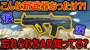 【CoD:MW】こんな新武器あったけ?!?!?!『拡張性ゼロの忘れられたARを知ってる??』【実況者ジャンヌ】