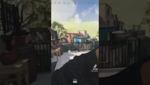 Günün keklikleri çok tatlı değiller mi? #cod #codm #warzone #callofduty #fyp #fypシ