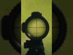 cod surviving the storm