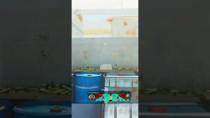 haven't seen that in awhile (hilarious)....cod modern warfare