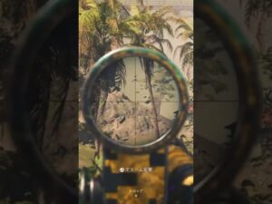 ［COD:WZ］ロングショット！！