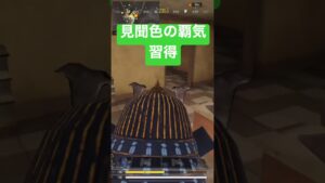 【CoDモバイル】エモート検証‼︎見聞色の覇気を出してみた‼︎銃弾は避けれるのか⁉︎