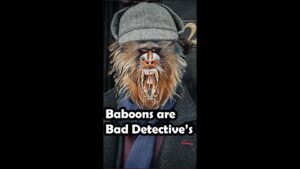 If I was a detective, i'd be dead by now - Call of Duty Warzone