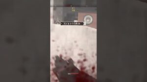 コールオブデューティーモダンウォーフェア２　ベータテスト２　ここまでボロッボロw 今作の当たり判定がよくわからないね😫