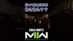 聴いてきた意味はなんなん？？ｗｗｗ【COD:MW2】 #shorts