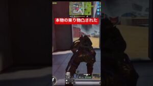 【CoDモバイル】これが本当の車両凸⁉︎ジャッカルトラウマになりそうです