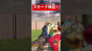 【CoDM】MP.BR含めてレジェンドスモーク検証してきました‼︎