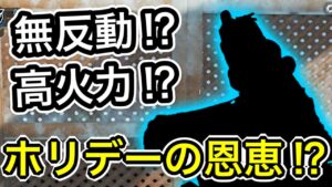 【CoDモバイル】無反動⁉︎高火力⁉︎エイムアシスト抜群⁉︎ホリデードローの恩恵か？#cod