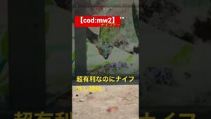 【cod:mw2】ナイファー。今日1下手くそなシーン