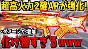 上級者しか扱えない"あの2発キルAR"が超大幅強化！2確範囲が増加してるが難しすぎて俺には使えなかった。【CODモバイル】
