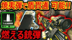 【CoD:MW2】朗報! 燃える焼夷弾で盾貫通ダメージ可能に!!『盾にもダメージ判定あり! 強いのでは!?』【実況者ジャンヌ】