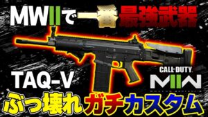 【CoD:MW2】ガチカスタム！一番の最強武器はこれ！『TAQ-V(Scar)』ぶっ壊れ。エグすぎる！カスタム紹介『虎琉』【Call of Duty: Modern Warfare II】