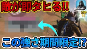 敵が即タヒる‼︎この強さ期間限定なのでぜひ試してみてください‼︎【CoDモバイル】