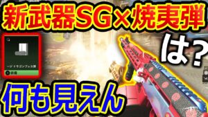 【CoD:MW2】新武器SG×ドラゴンブレス弾がマジで視界邪魔すぎて害悪化...『公開マッチが大荒れ中』【KV BROADIDE : 実況者ジャンヌ】