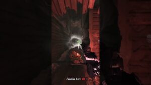 ESTA ARMA NUNCO VOLVIO A COD ZOMBIES