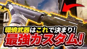 環境武器を機動性MAXカスタムにしたらぶっ壊れ性能だったww【CoDモバイル】【ろくたん】