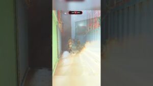 The MINIBAK META IN SEASON 2 IN MW2🤯 #shorts