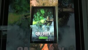 WOODS EN COD ZOMBIES BO1 TE VOLARA LA CABEZA
