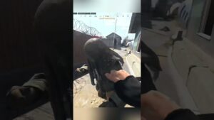 Gotta be quicker #gaming #infected #lofi #chill #mw3 #callofduty #cod #gameplay #mw2019 #nuke #mw2