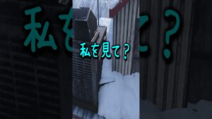 見つけてくれｗｗ#ゲーム実況#funny #cod #prophunt #かくれんぼ #コールオブデューティー #codbocw #shorts #なたでここ#声真似