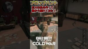 新しいプロップにすればバレない説 #shorts  #prophunt #cod #プロップハント   #かくれんぼ