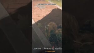 Lecciones warzoneras #warzone #callofduty #cod #clips