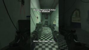 Magnum Akimbo were so OP #cod #callofduty #mw2