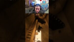 my luck is crazy #warzone #wzclip #callofduty #cod #wz #gaming #shortsfeed #shorts#codwarzone